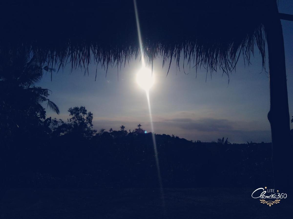 Mount Sea View Bungalow Sakti ภายนอก รูปภาพ